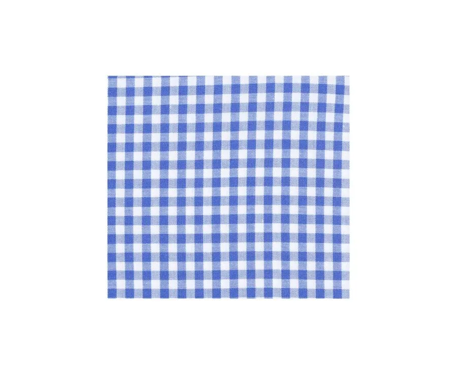 WHITE COTTON SHIRT WITH LIGHT BLUE AND WHITE CHECKS  RUGGERO